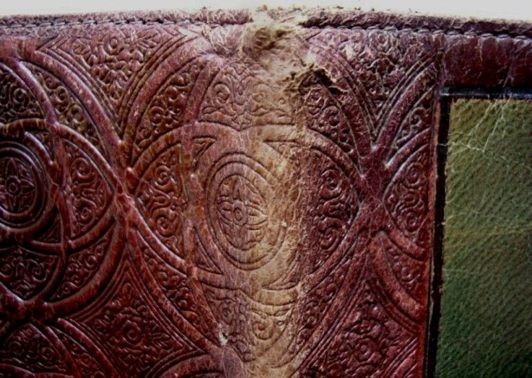 ART DECO BOOK COVER TOOLED LEATHER SALAMANDER LIZARD  