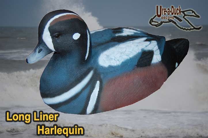 Diver Harlequin Duck Decoys Harlequin Duck Decoys  