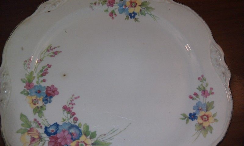 Homer Laughlin Virginia Rose Plate 8.25  