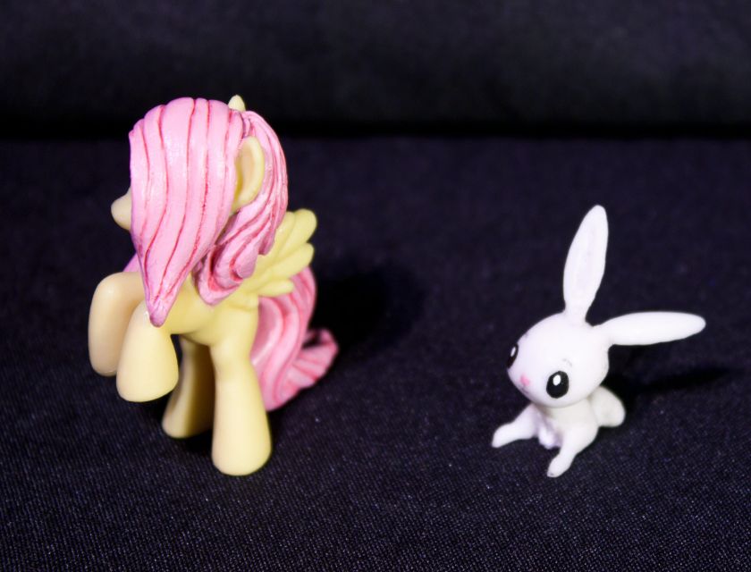 My Little Pony FIM Fluttershy correct hair Custom blind bag & Angel 