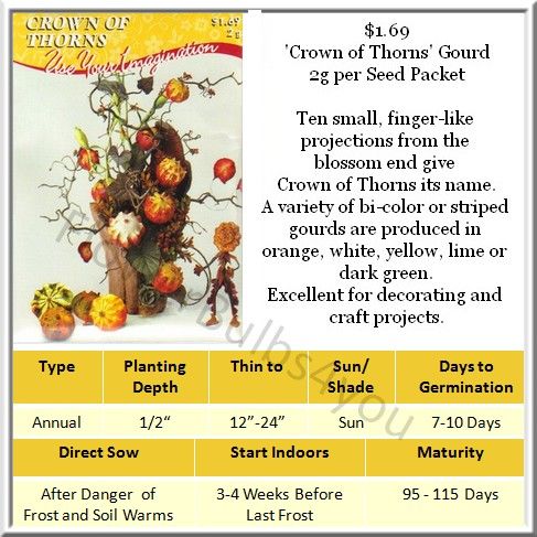 crown of thorns gourd is