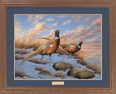 ROSEMARY MILLETTE Framed Pheasant print STANDING GROUND  