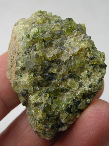 Kilbourne Hole New Mexico Peridot in Basalt Specimen #6  