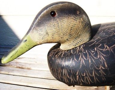   NR MINT c1960 Decoys Unlimited Factory Black Duck Wood Decoy; Erie, PA