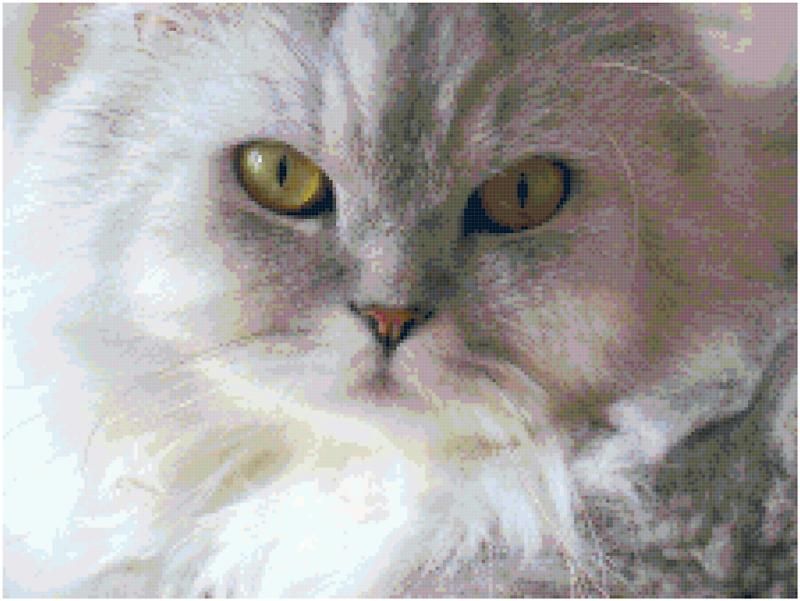 Himalayan Cat Counted Cross Stitch Pattern  