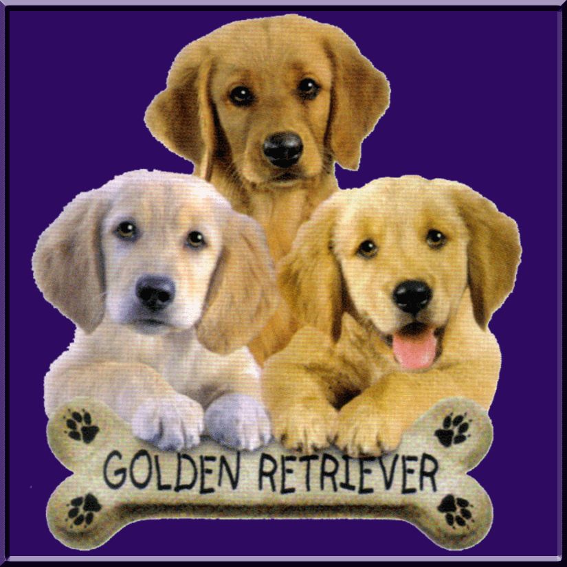 Golden Retriever Puppy Dog Breed Bone T Shirt S,M,L,XL,2X,3X,4X,5X 