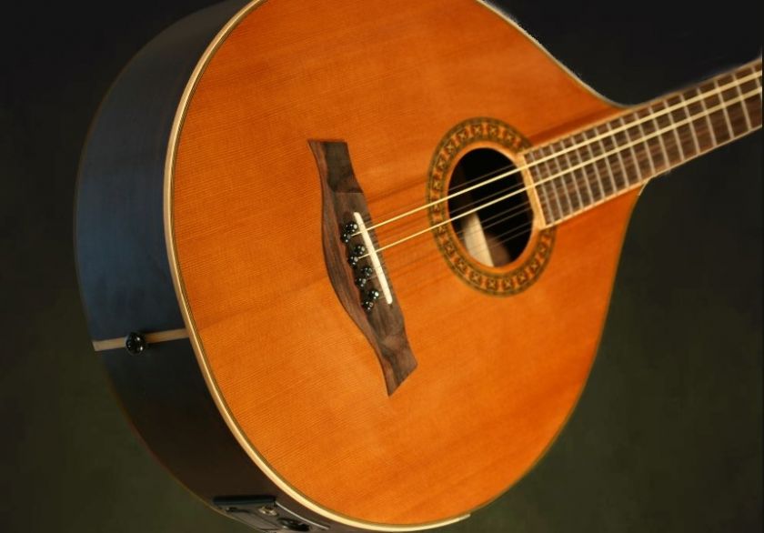 IRISH BOUZOUKI Sea Swallow with EQ System, high quality gigbag, FREE 