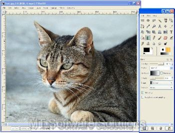 ADVANCED IMAGE PHOTO EDITING EDIT SOFTWARE PROGRAM CD  