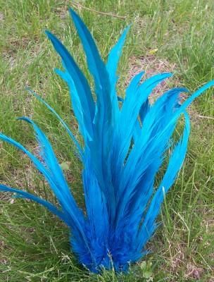 20 TURQUOISE ROOSTER FEATHERS (COQUE TAILS) FEATHERS  