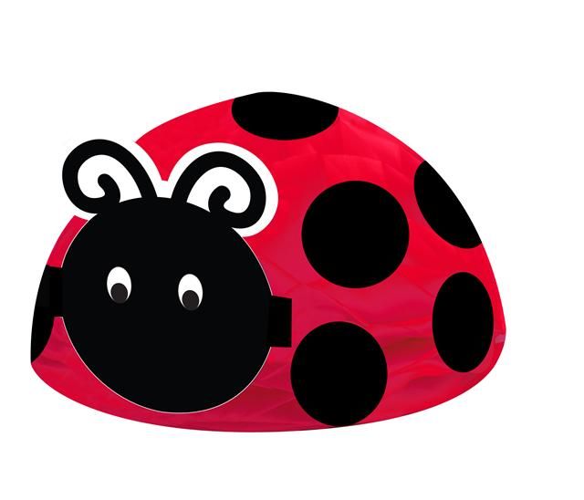 Fancy Ladybug Polka Dot Party Invitations x 8  